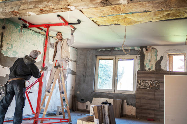 Best Insulation for New Construction  in Port Jefferson Station, NY