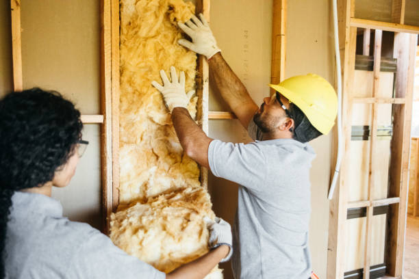 Best Cellulose Insulation  in Port Jefferson Station, NY