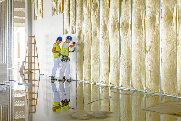 Best Insulation Contractor Near Me  in Port Jefferson Station, NY